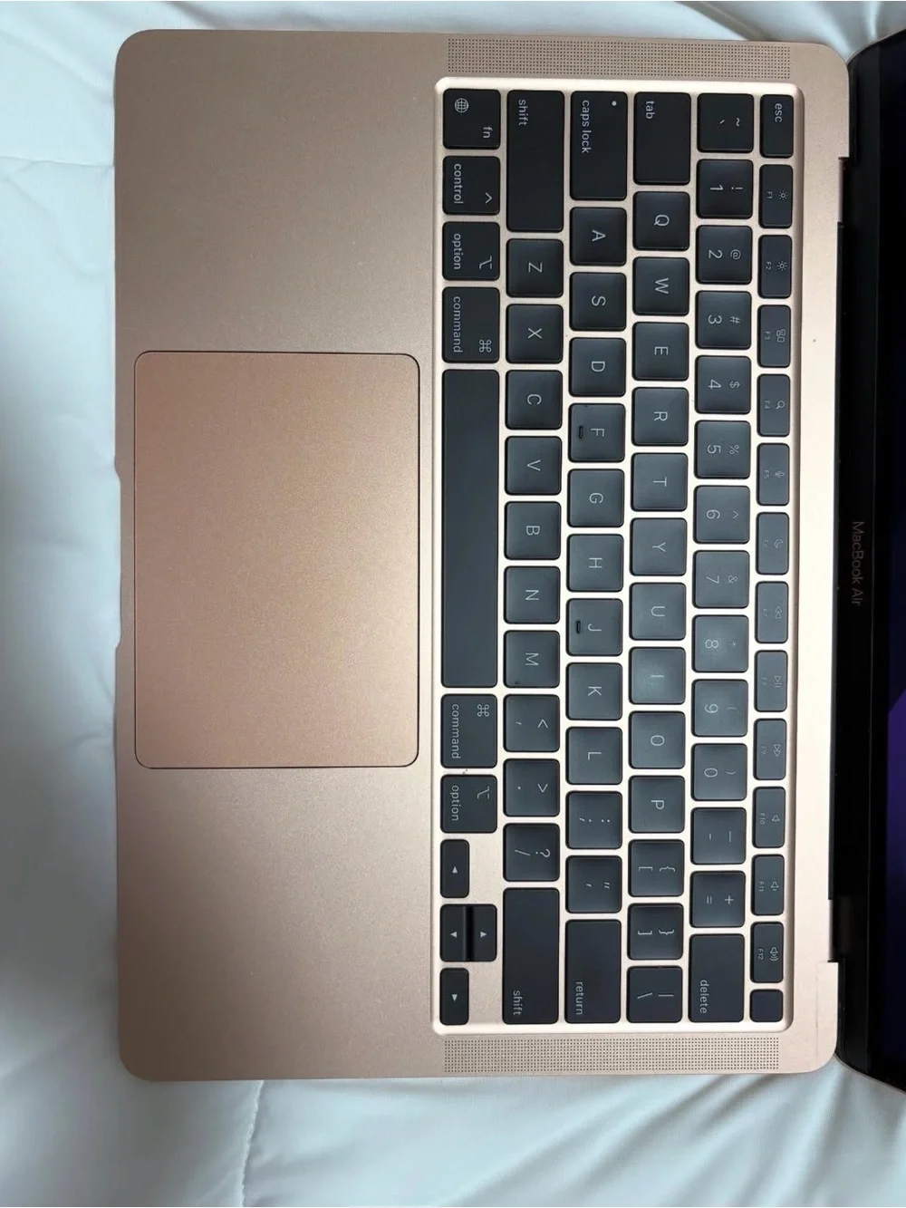 Apple rose gold